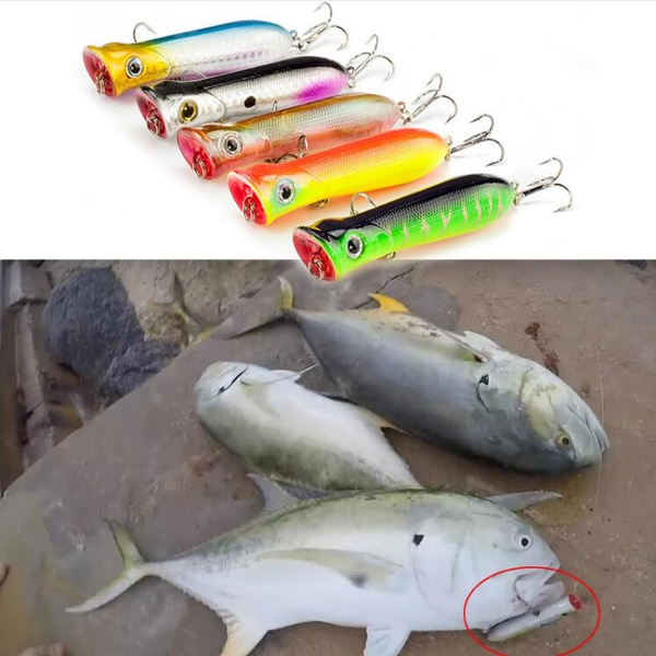 feeder fishing kit