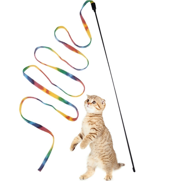 cat dancer products rainbow cat charmer