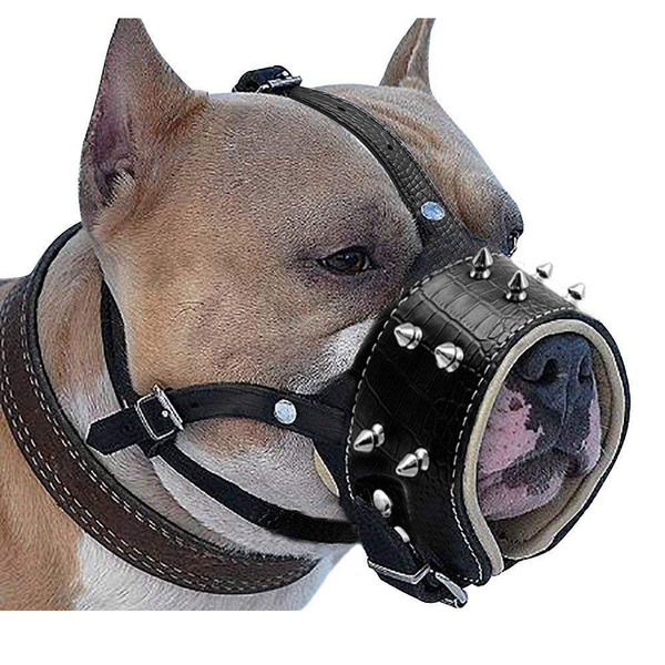 Adjustable boxer outlet muzzle