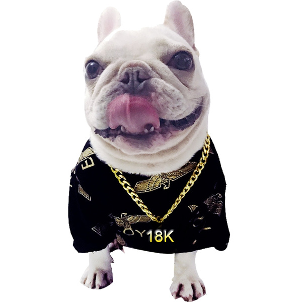 small dog gold chain