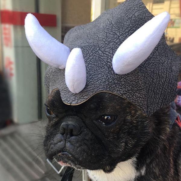 dog with dinosaur hat