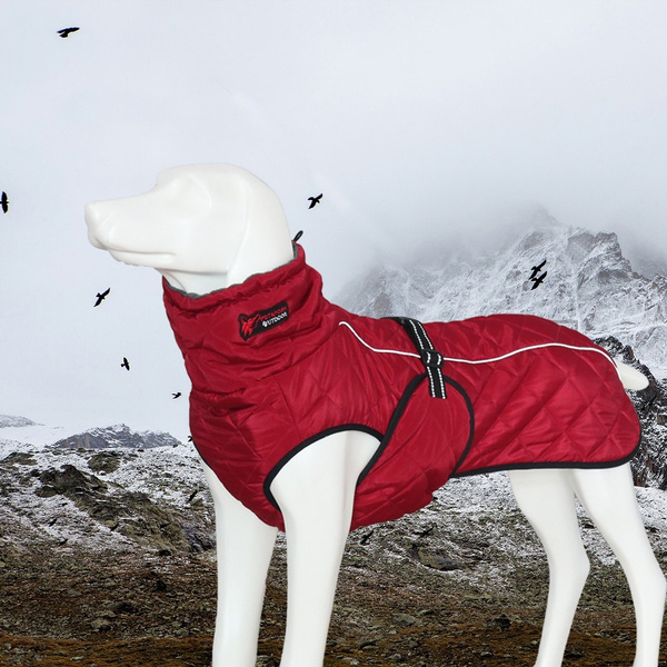 Winter Pet Dog Clothes Warm Cotton Coat Jacket for Small Medium Large ...