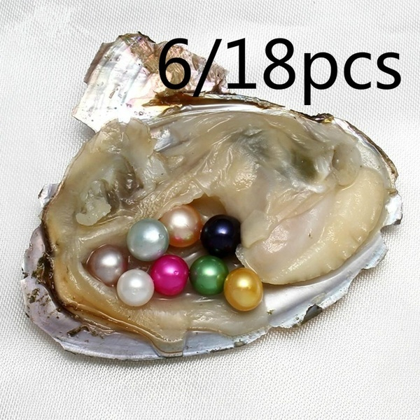 20-50 pcs Pearls In A Large Clam Wish Pearl Mussel Pearl Oyster