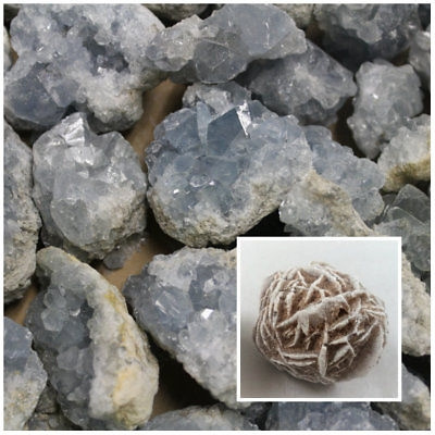 Plus Selenite Desert Rose Bud! 4000 Carat Lot of Celestite Crystals Gemstone