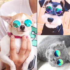 Fashion, Pets, Photo, Dogs