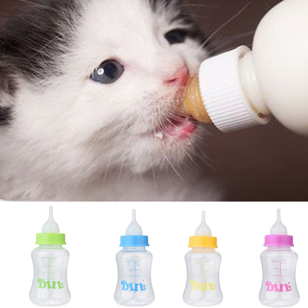 dog feeding bottle