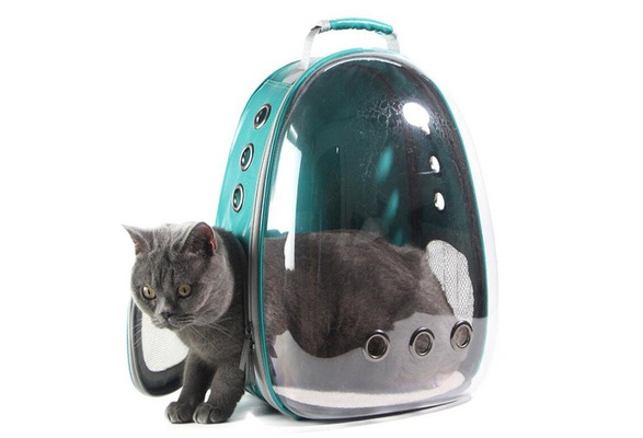 cat spaceship backpack