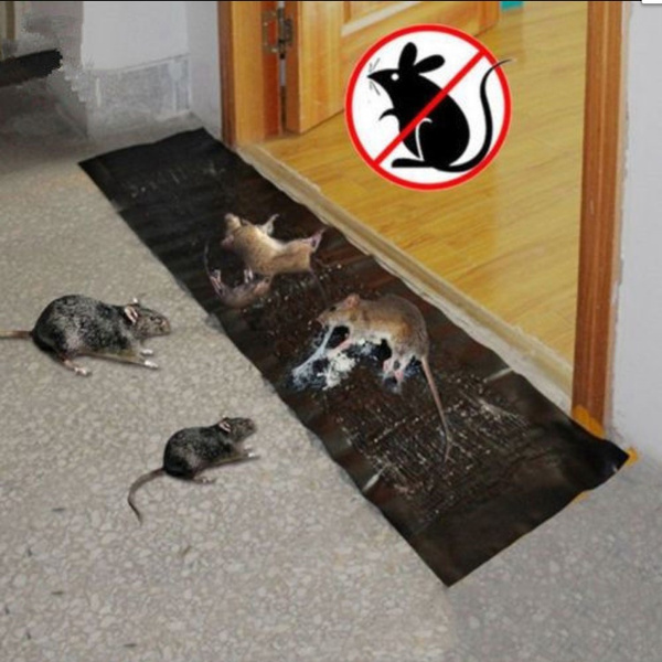 best glue traps for large rats