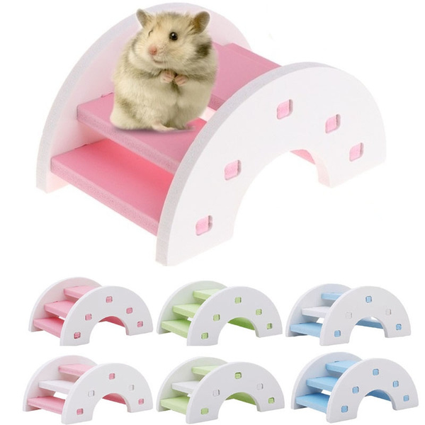 rainbow hamster cage