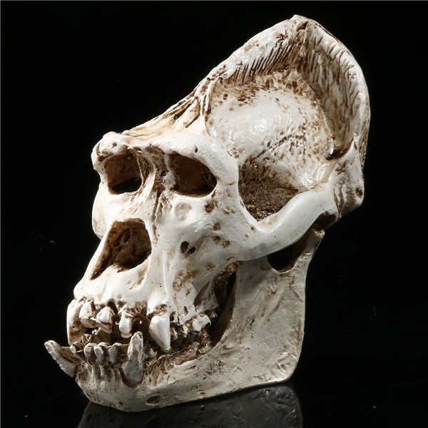 New Gorilla APE Figurine Skull Resin Model Animal bone Party Decorates  Novel Gift Collection | Wish