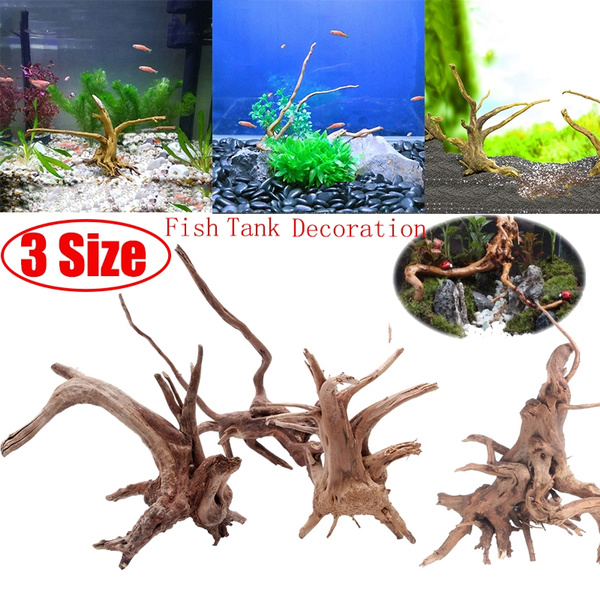 tree root aquarium decoration