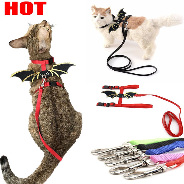 Cat harness with outlet wings