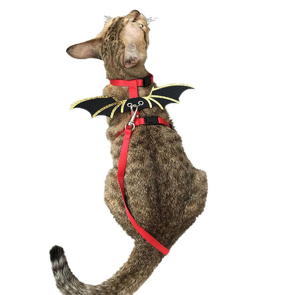 Dexil cat clearance harness