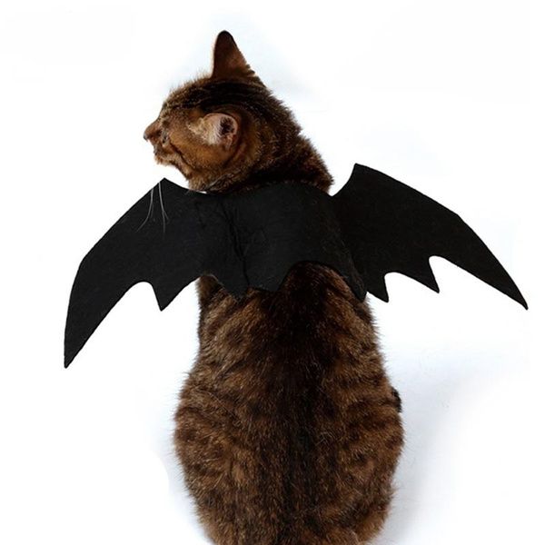 Gato murciélago cosplay disfraz de Halloween fiesta