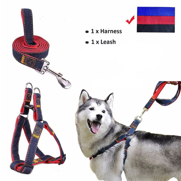 harness and lead set