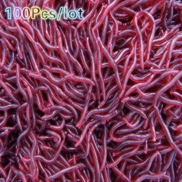 100pcs/lot 4cm Dark Red Fishing Lure Soft Maggot Earthworm Plastic  Artficial Bait Bionic Worm Fishy Smell for Fishing Pesca