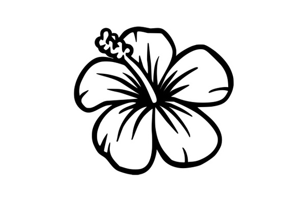 easy to draw hawaiian flowers