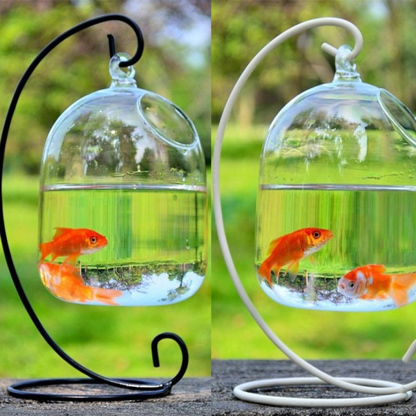 mini fish tank
