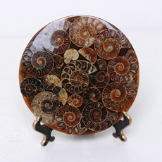 ammonite, fossilsampmineral, Home Decor, Gifts