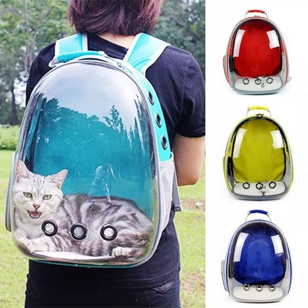 backpack for sightseeing