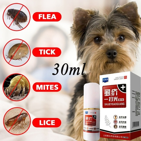 1 Piece Pet Dog Cat Anti flea Pet Insecticide Flea Lice Insect