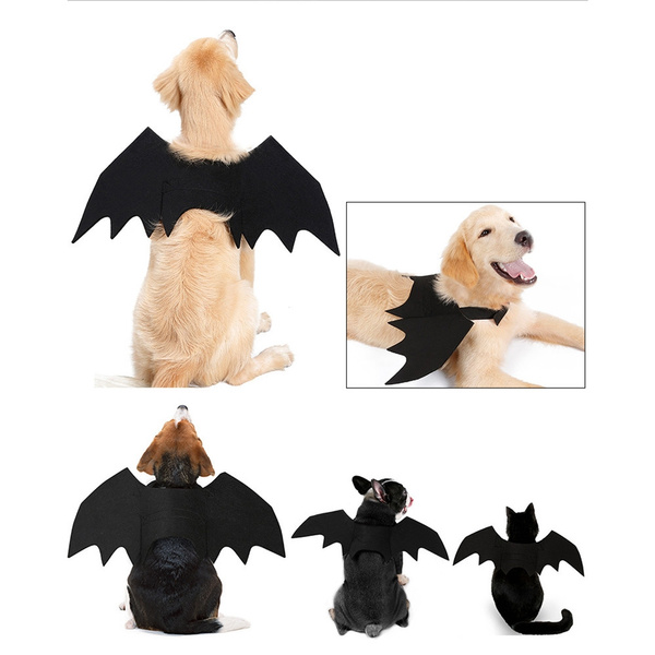 Animal Pet Dog Cat Bat Vampire Halloween Fancy Dress Costume Outfit Wings Animal Animal De Compagnie Chien Chauve Souris Chat Vampire Halloween Costume Deguisement Tenue Ailes Wish