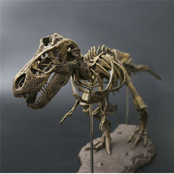 Simulation Large Dinosaur Fossil Tyrannosaurus rex Assemble the skeleton model 