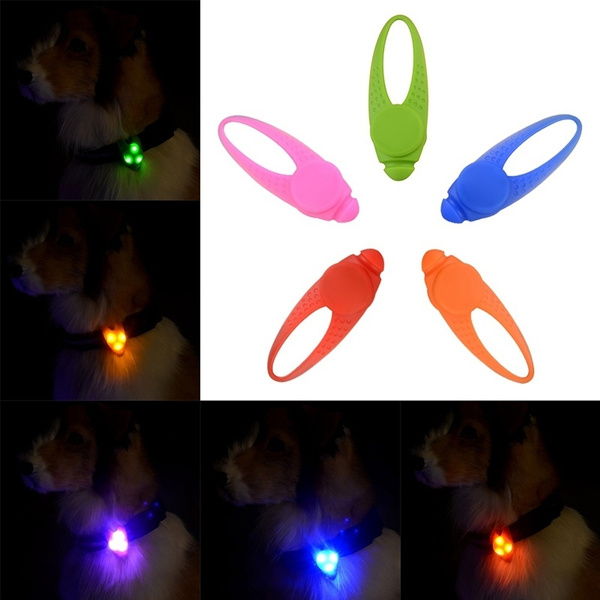 night dog walking accessories