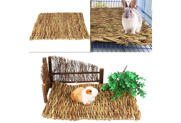 Small Animal Hamster Grass Chew Mat Breakers Toy Rabbit Rat Guinea Pig House pad 