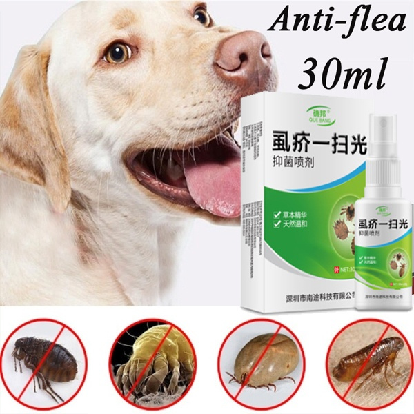 dog lice spray
