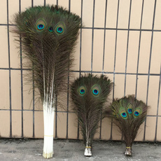peacock, Decor, clothesdecal, diypartydecor