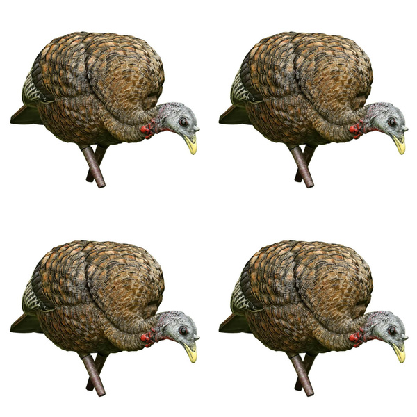 Avian X Feeder Lifelike Collapsible Decoy LCD Folding Hen Turkey Hunting Decoy 