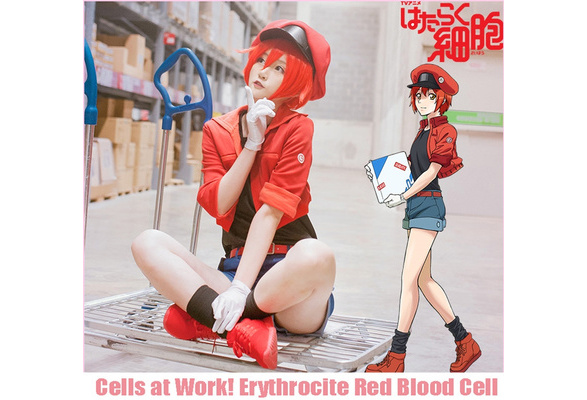 Cells At Work / Hataraku Saibou Anime Cosplay Costume Red Blood Cell  Hataraku Saibou Women Anime Cosplay Costume Halloween A502