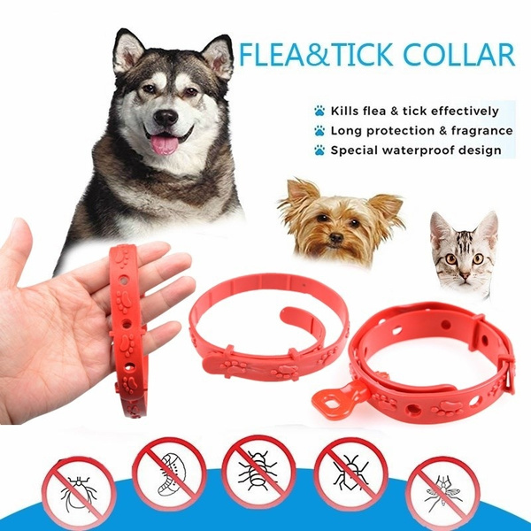 flea collar effectiveness