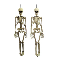 Decor, Skeleton, halloweengift, humanskeleton