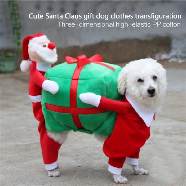 Dog outfits for top christmas