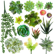 succulent, Plants, artificialplant, Home Decor