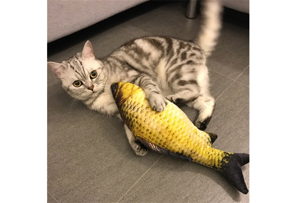 fish shaped cat toys