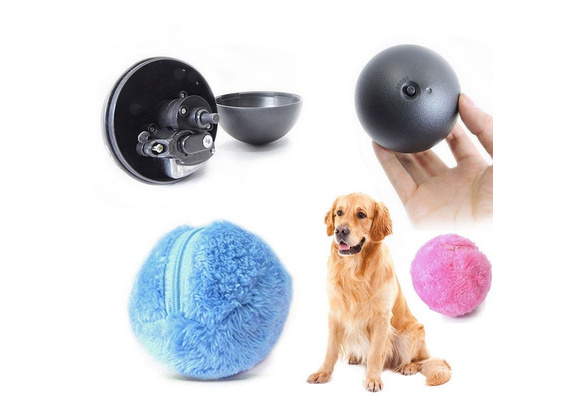 magic rolling ball for dogs