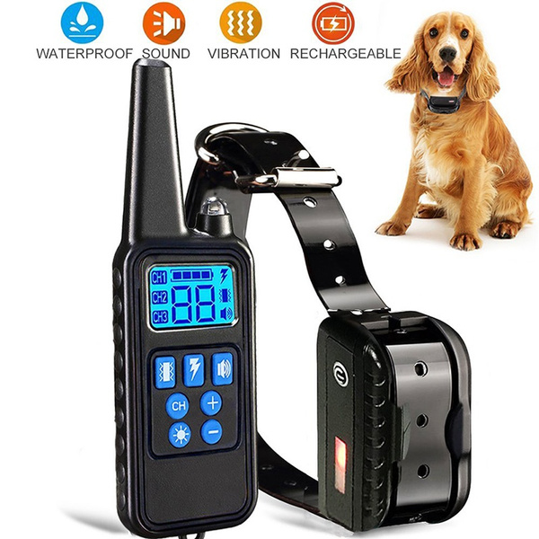remote control shock collar for large dogs