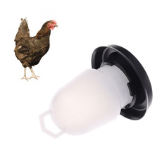 poultry, chickenwaterdrinking, quailpoultry, Plastic