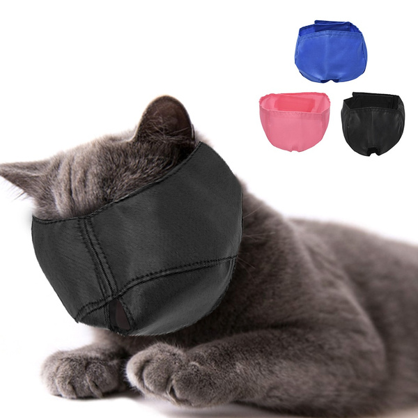 Cat sale muzzle wish