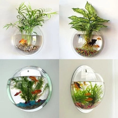 decoration, Plants, acrylicfishtank, plantholderwall