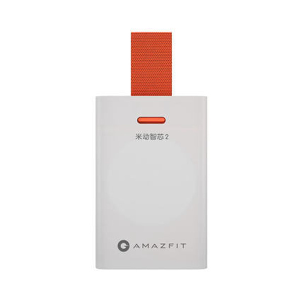 Amazfit smart 2024 chip 2