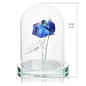 thumbnail - 4