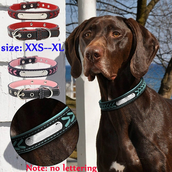 Wish hotsell dog collar