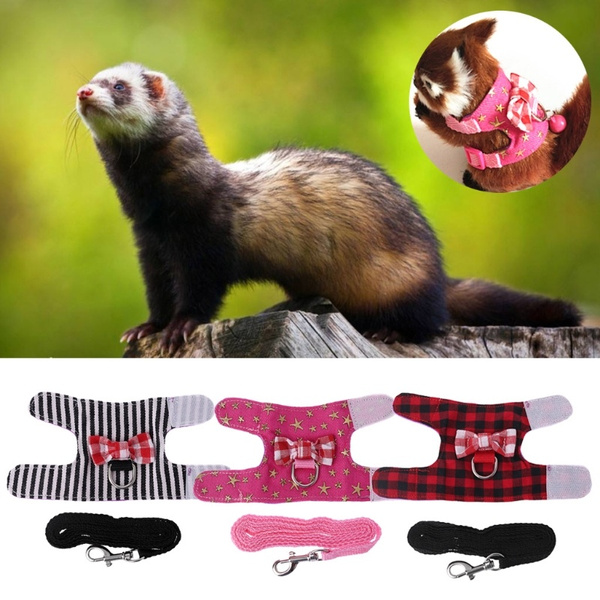 ferret leash and harness
