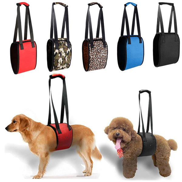pet support sling