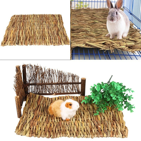 wish bunny toys