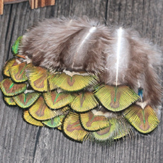 peacock, Nature, peacockfeather, decoration